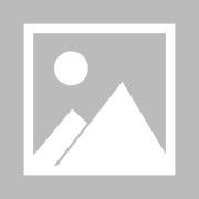 亿万28官网-吕文扬赴亚运场馆观赛见证搏击赛场的热血与拼搏